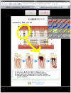 TrinityCore Proの画面イメージ