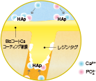 拡大図