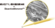 拡大写真[親水性アミノ酸系重合開始剤 ＋ BioactiveMonomer™]