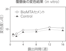 覆髄後の変色結果 （in vitro）