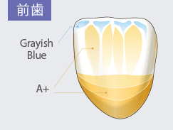 前歯　Grayish Blue　A+
