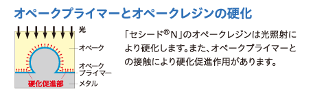 オペークプライマーとオペークレジンの硬化　｢セシード®Ｎ｣のオペークレジンは光照射により硬化します。また、オペークプライマーとの接触により硬化促進作用があります。