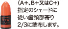 （A＋、B＋又はC＋）指定のシェードに従い歯頸部寄り2/3に塗布します。