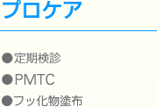 プロケア／定期健診・PMTC・フッ化物塗布