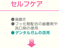 セルフケア／歯磨き・デンタルガムの活用