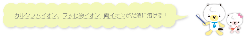 カルシウムイオン、フッ化物イオン　両イオンがだ液に溶ける！