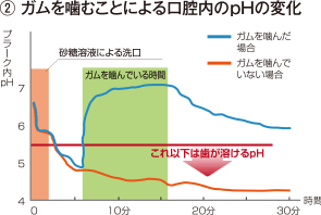 ②ガムを噛むことによる口腔内のpHの変か