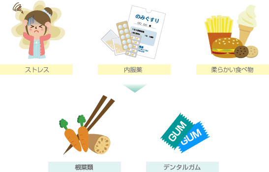 ストレス・内服薬・柔らかい食べ物→根菜類・デンタルガム