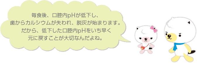 毎食後、口腔内pHが低下し、歯からカルシウムが失われ、脱灰が始まります。だから、低下した口腔内pHをいち早く元に戻すことが大切なんだよね。