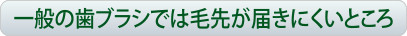 一般の歯ブラシでは毛先が届きにくいところ