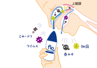 フロー・サイナスケア仕様イメージ図