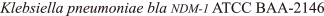 Klebsiella pneumoniae bla NDM-1 ATCC BAA-2146