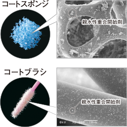 コートスポンジ・コートブラシ中の親水性重合開始剤の効果