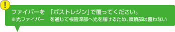 ファイバーを「ポストレジン」で覆ってください。