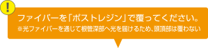 ファイバーを「ポストレジン」で覆ってください。