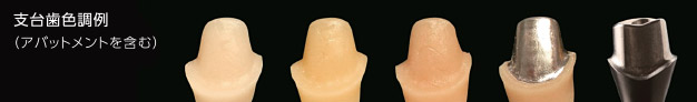 支台歯色調例（アバットメントを含む）の写真