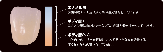 エナメル層 前歯切端部にも近似する高い透光性を有しています。 ボディ層１ エナメル層に向かいシームレスな色調と透光性を有しています。 ボディ層2、3 口腔内での白浮きを軽減しつつ、明るさと彩度を維持する深く鮮やかな色調を有しています。