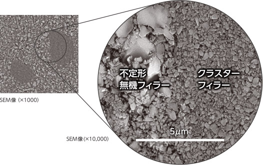 SEM像の写真