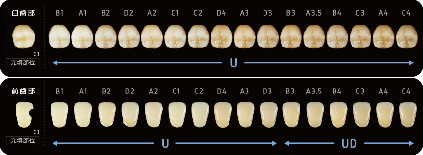 臼歯部には1色で、前歯部にも1本で