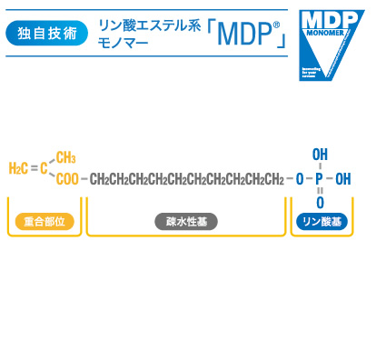 独自技術 リン酸エステル系モノマー｢MDP｣
