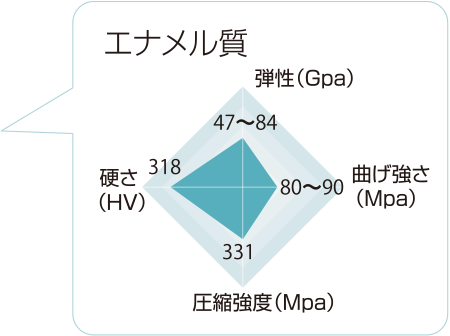 エナメル質