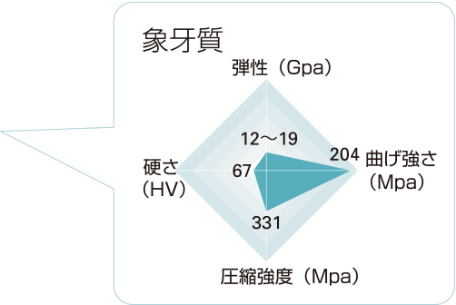 象牙質