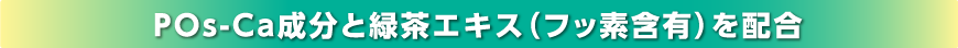 POs-Ca成分と緑茶エキス（フッ素含有）を配合