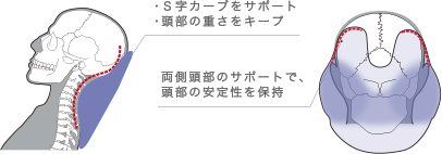 ・Ｓ字カーブをサポート・頭部の重さをキープ・両側頭部のサポートで、頭部の安定性を保持