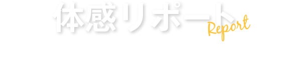 体感リポート