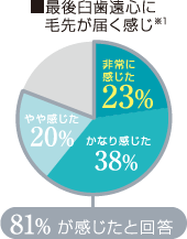 最後臼歯遠心に毛先が届く感じ※1　[81%が感じたと回答]