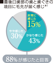 最後臼歯部の歯と歯ぐきの境目に毛先が届く感じ※1　[88%が感じたと回答]