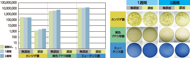 図2 ティッシュコンディショナー添加による付着菌数の変化とコロニー像（1週間及び2週間）