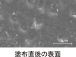 塗布直後の表面