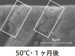 50℃・1ヶ月後の写真