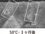 50℃・3ヶ月後の表面